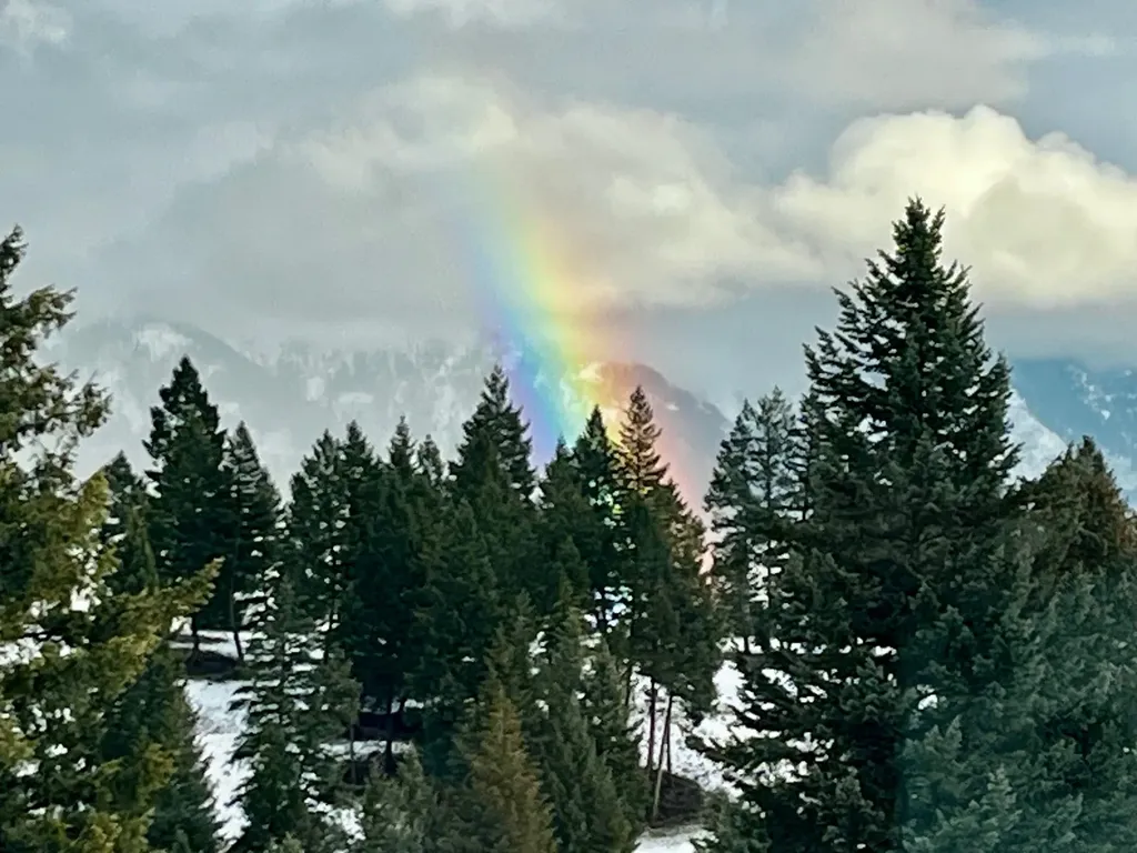 Trego MT 59934