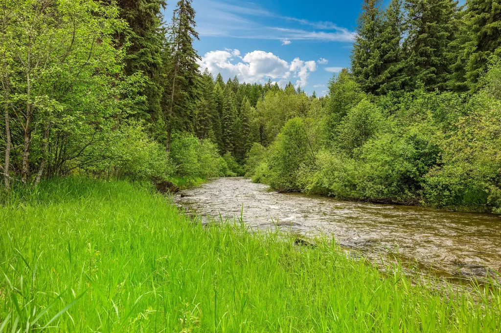 Trego MT 59934