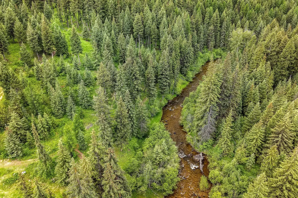 Trego MT 59934