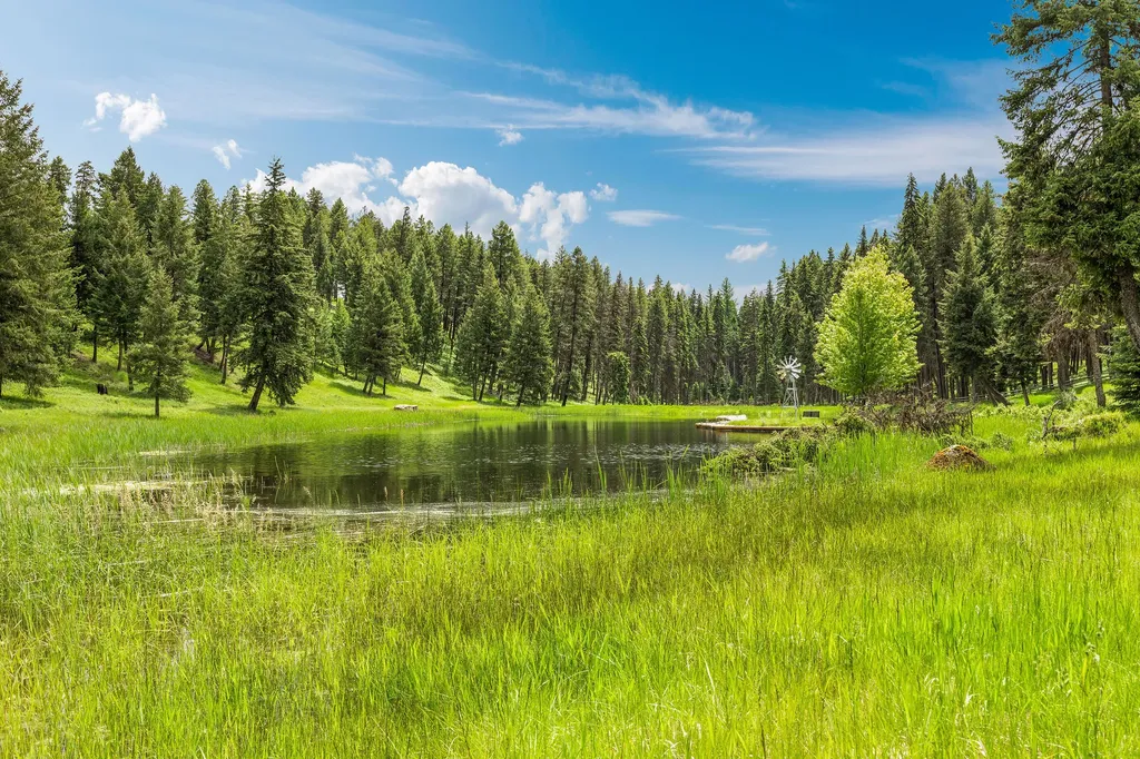 Trego MT 59934