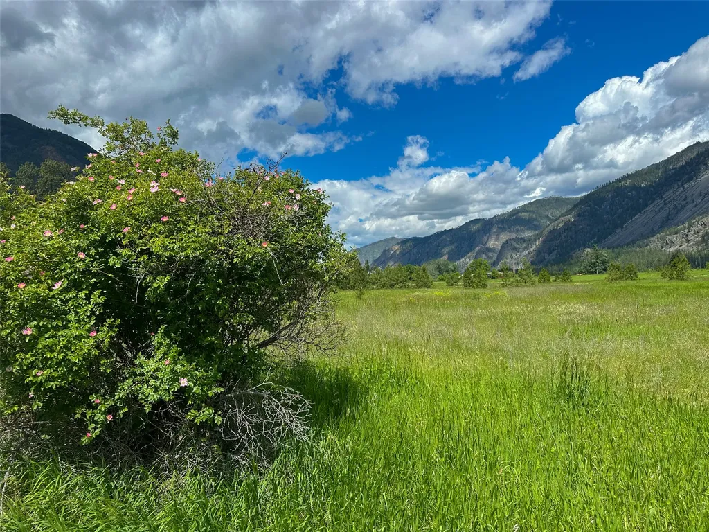 20 Eddy Flat Lane Thompson Falls MT 59873