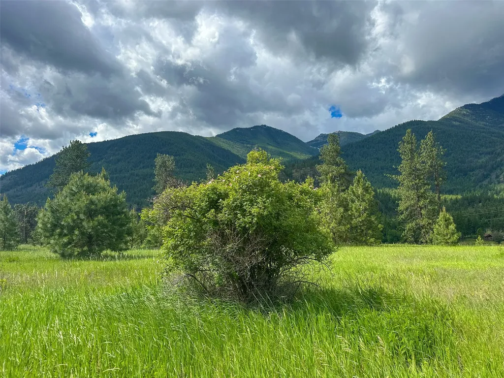 20 Eddy Flat Lane Thompson Falls MT 59873