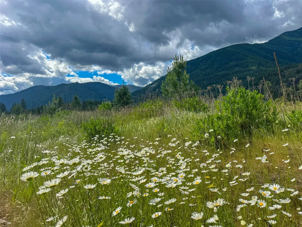 20 Eddy Flat Lane Thompson Falls MT 59873