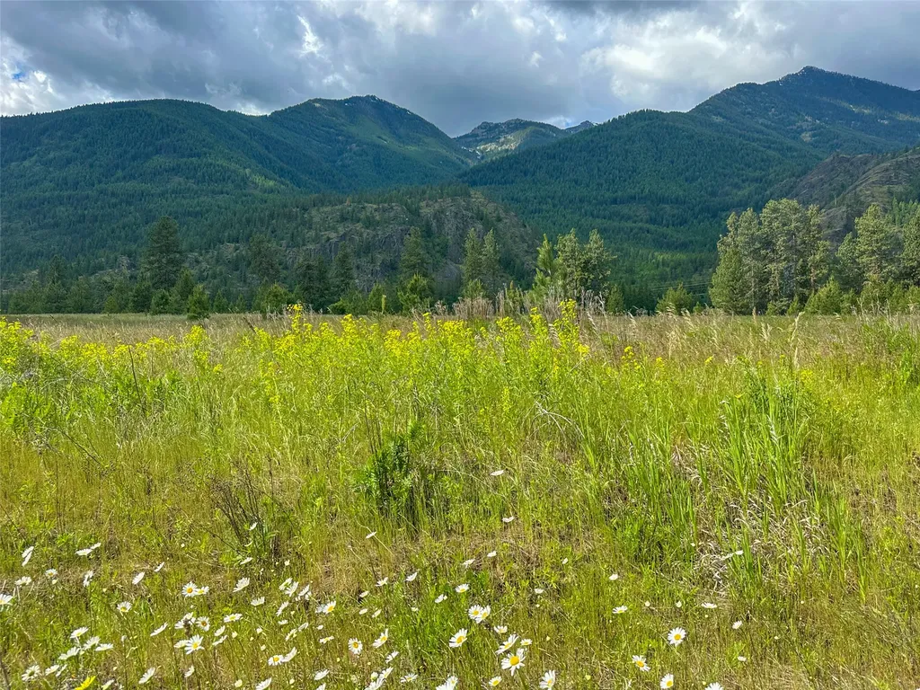 20 Eddy Flat Lane Thompson Falls MT 59873
