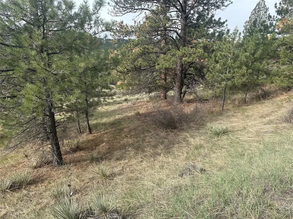 419 Dearborn River Road Cascade MT 59421