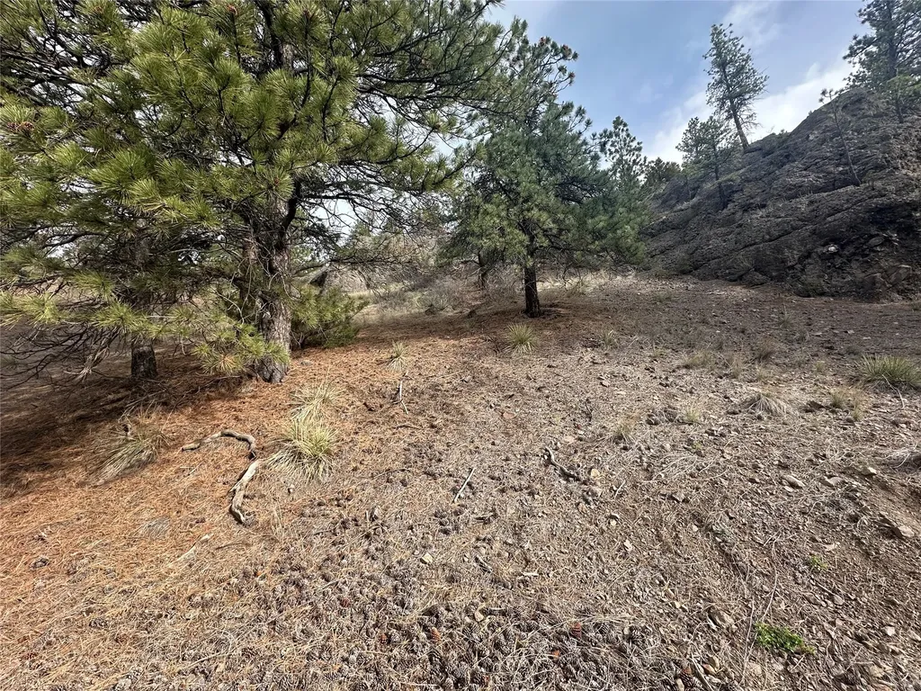 419 Dearborn River Road Cascade MT 59421