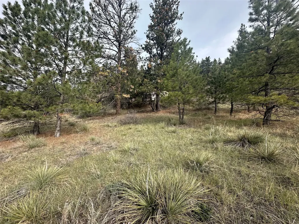 419 Dearborn River Road Cascade MT 59421