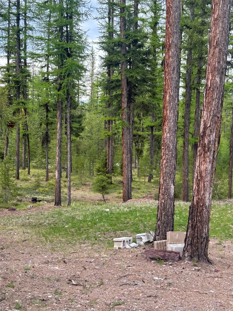409 Old Barn Road Seeley Lake MT 59868