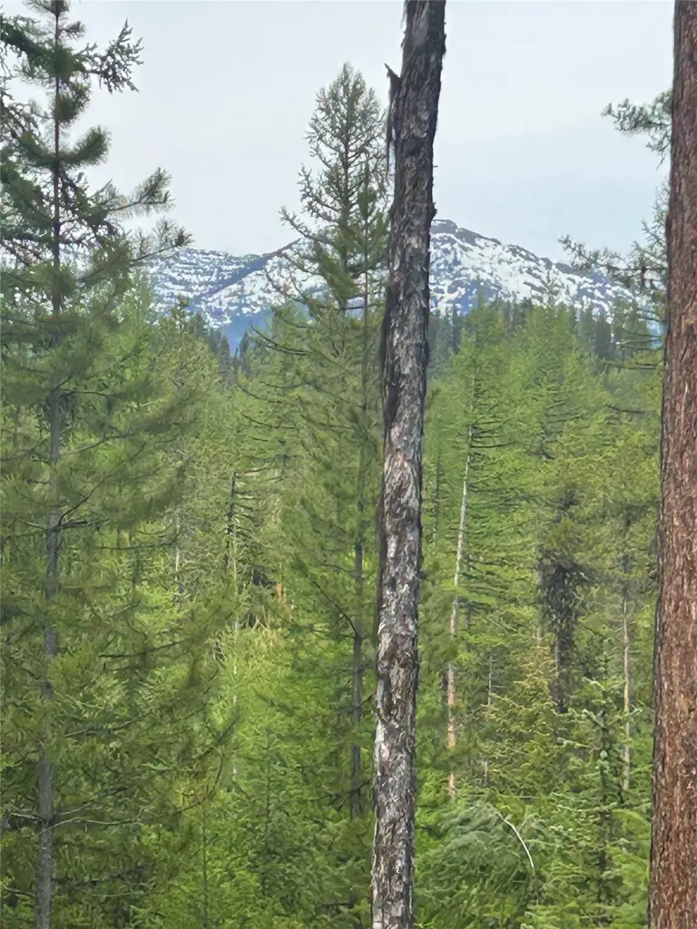 409 Old Barn Road Seeley Lake MT 59868