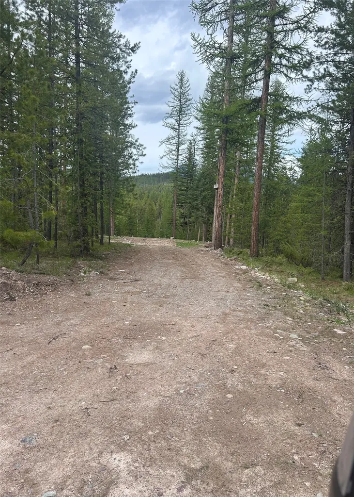 409 Old Barn Road Seeley Lake MT 59868
