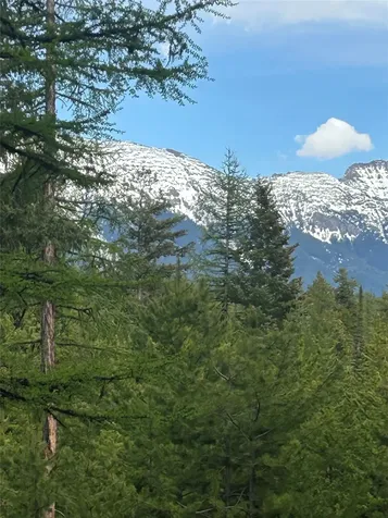 409 Old Barn Road Seeley Lake MT 59868