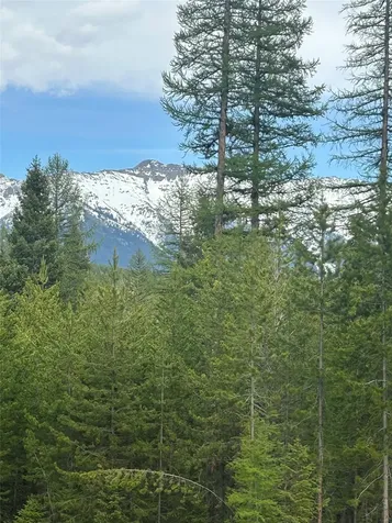 409 Old Barn Road Seeley Lake MT 59868