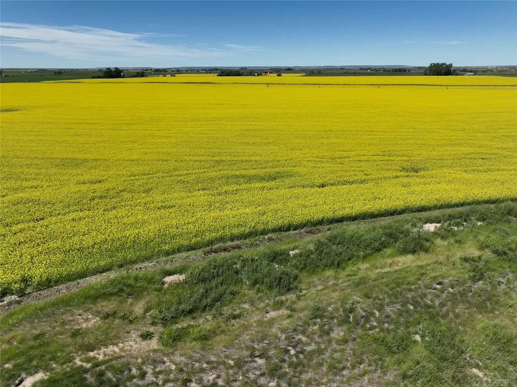 750 E Division Road Fort Shaw MT 59443