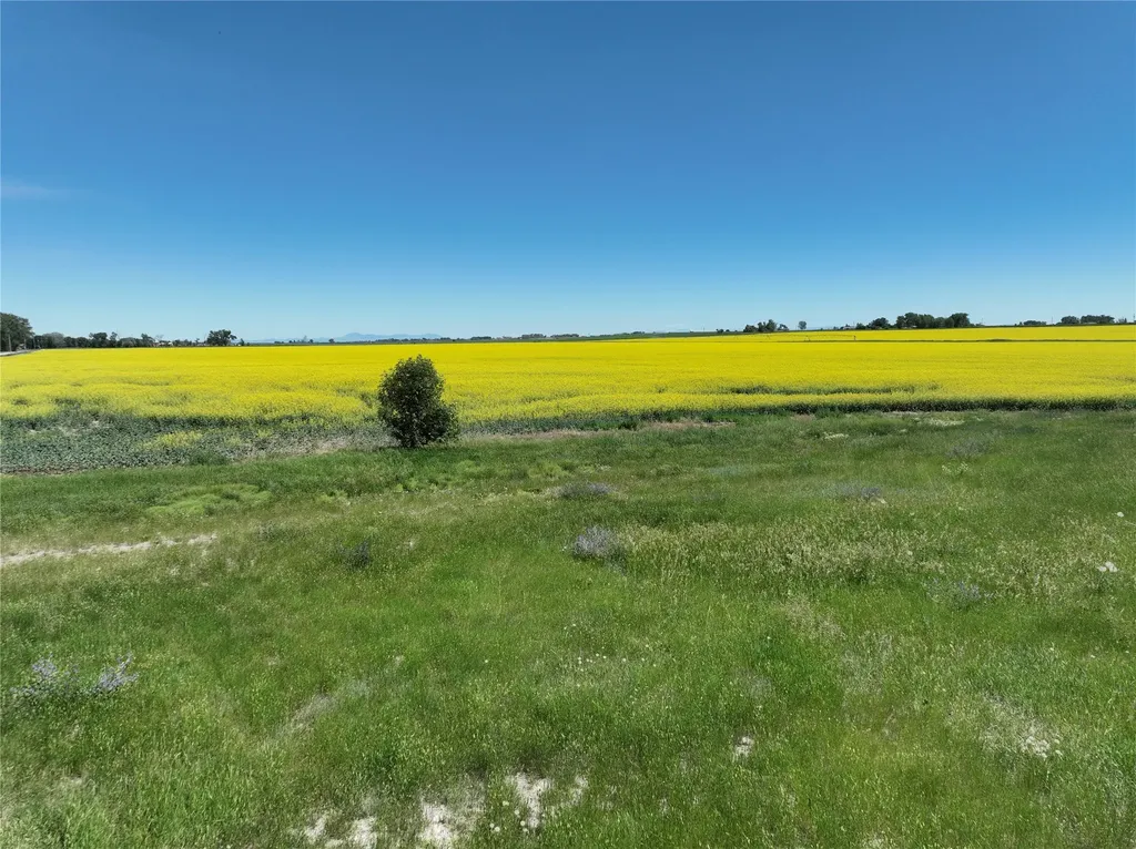 750 E Division Road Fort Shaw MT 59443