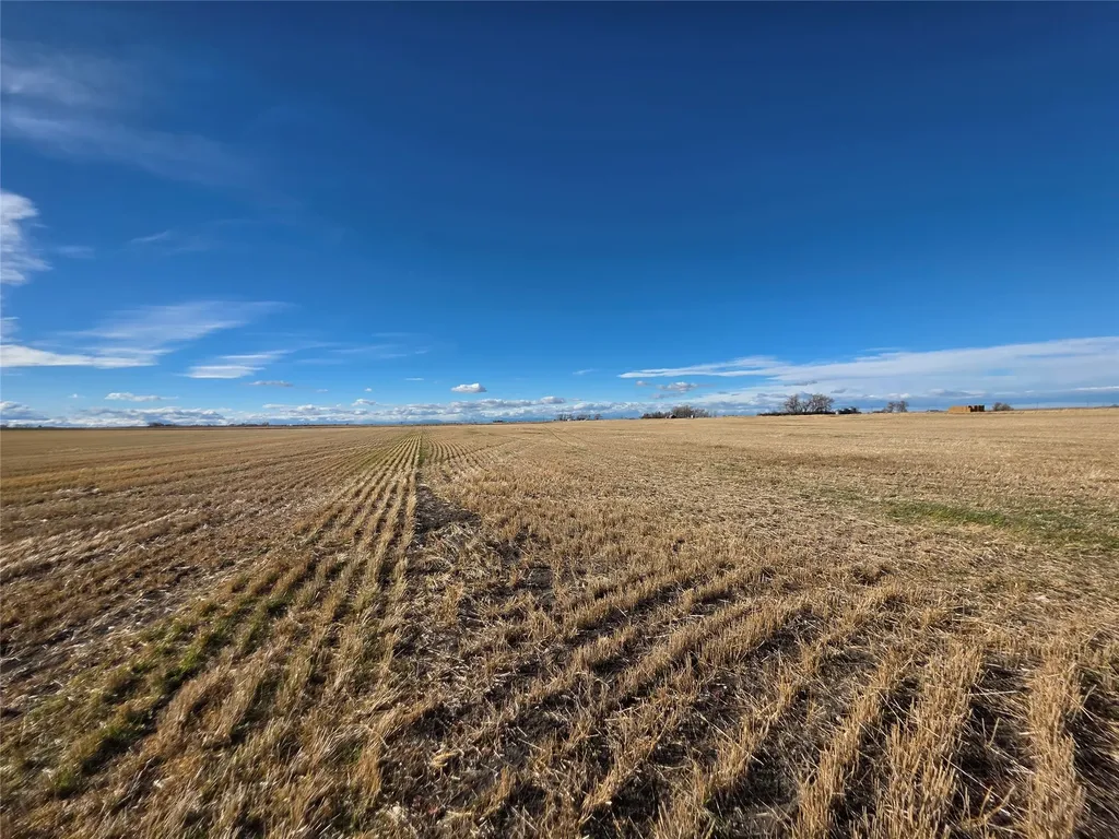750 E Division Road Fort Shaw MT 59443