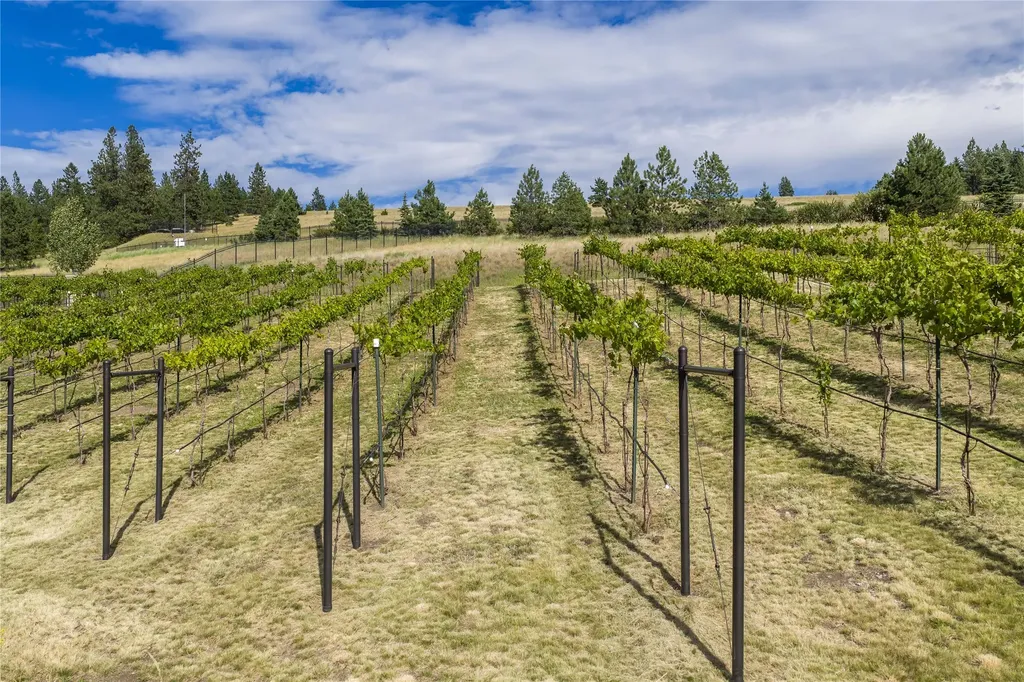 2722 Contour Road Missoula MT 59802