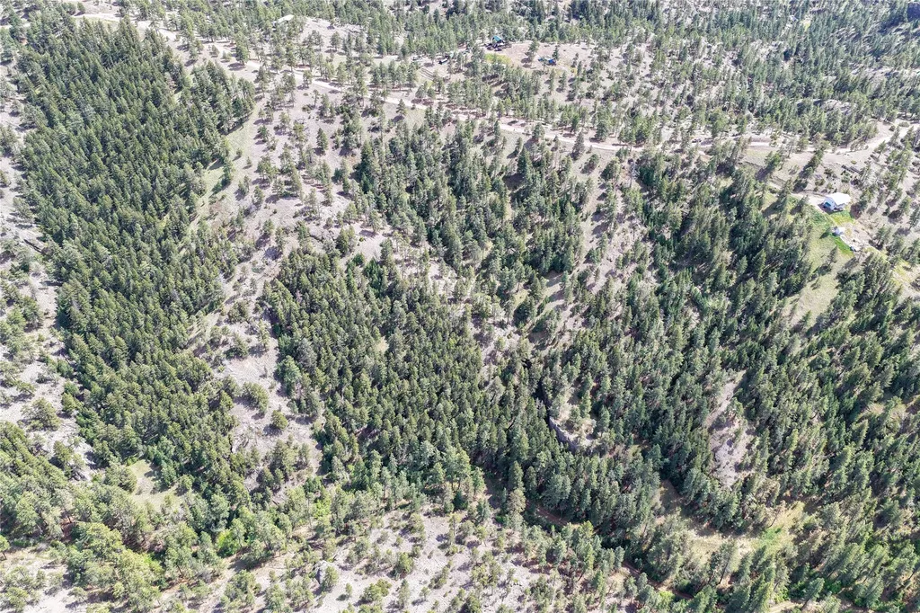 Tbd Dearborn River Road Cascade MT 59421