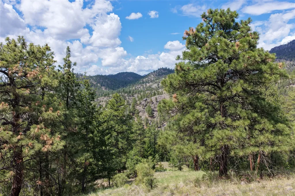 Tbd Dearborn River Road Cascade MT 59421