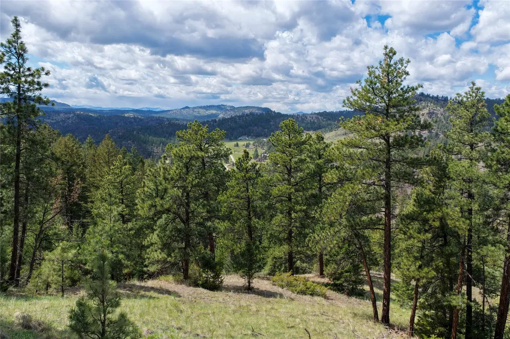 Tbd Dearborn River Road Cascade MT 59421