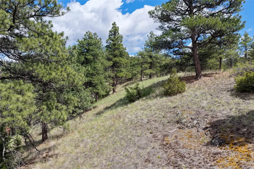 Tbd Dearborn River Road Cascade MT 59421
