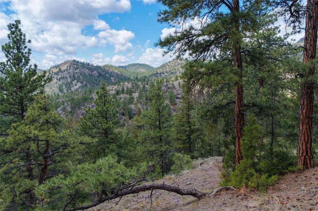 Tbd Dearborn River Road Cascade MT 59421