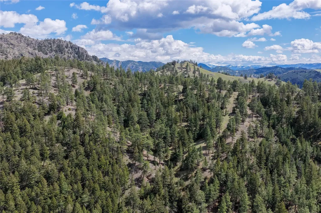 Tbd Dearborn River Road Cascade MT 59421
