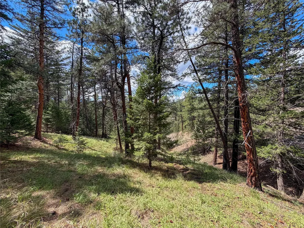 Tbd Dearborn River Road Cascade MT 59421