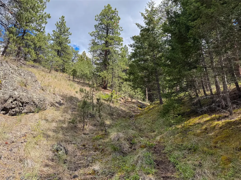 Tbd Dearborn River Road Cascade MT 59421