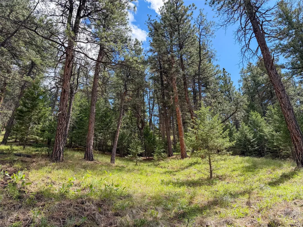 Tbd Dearborn River Road Cascade MT 59421