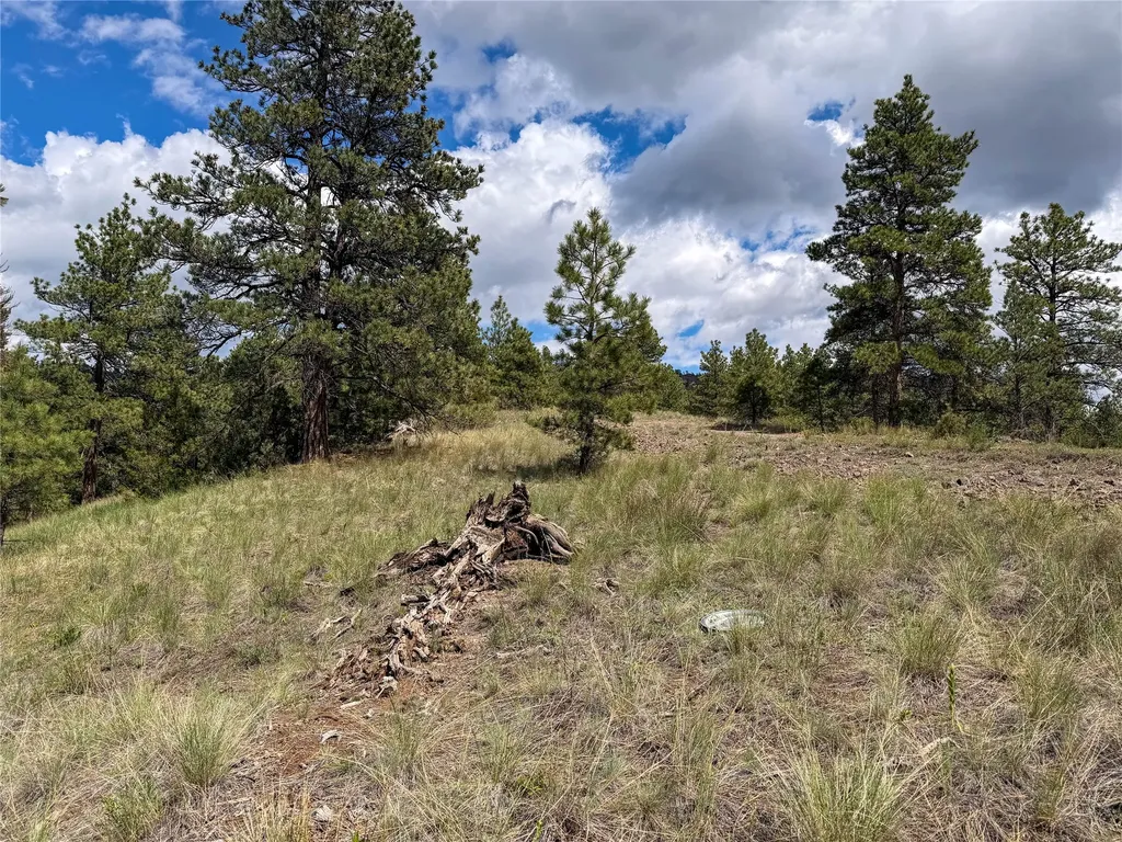 Tbd Dearborn River Road Cascade MT 59421