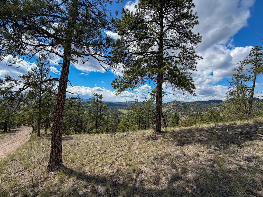 Tbd Dearborn River Road Cascade MT 59421