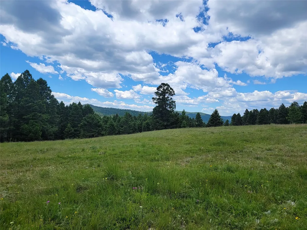 Lot 83 Hoover Creek Road Helmville MT 59843
