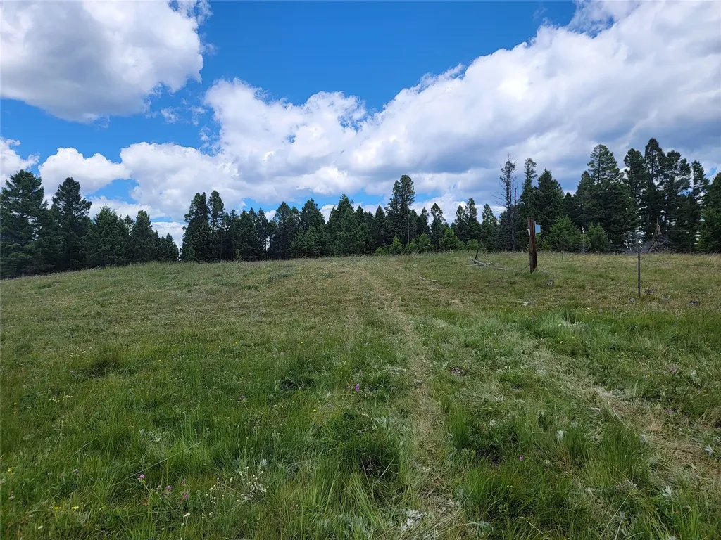 Lot 83 Hoover Creek Road Helmville MT 59843
