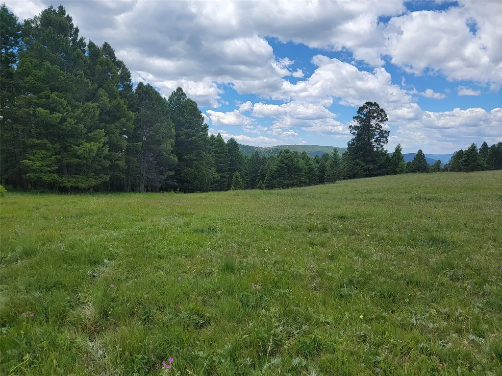 Lot 83 Hoover Creek Road Helmville MT 59843