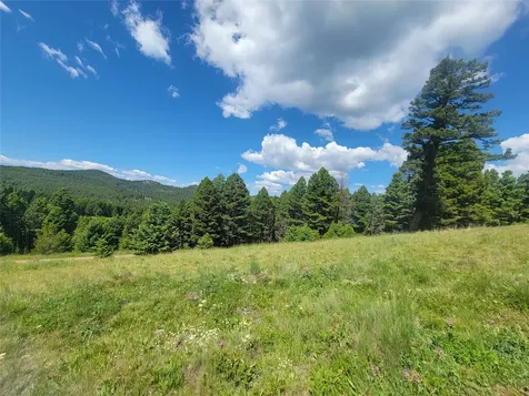 Lot 83 Hoover Creek Road Helmville MT 59843
