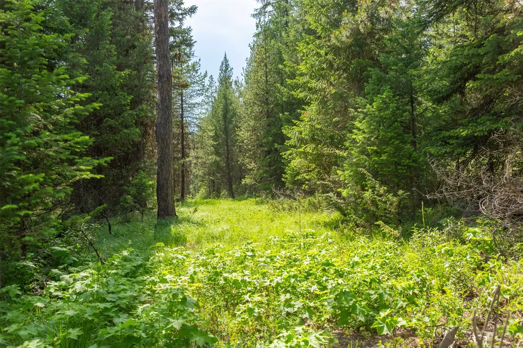 Nhn Lupfer Road Whitefish MT 59937