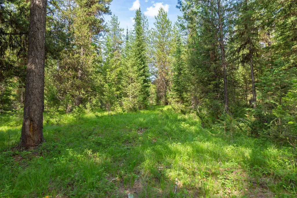 Nhn Lupfer Road Whitefish MT 59937