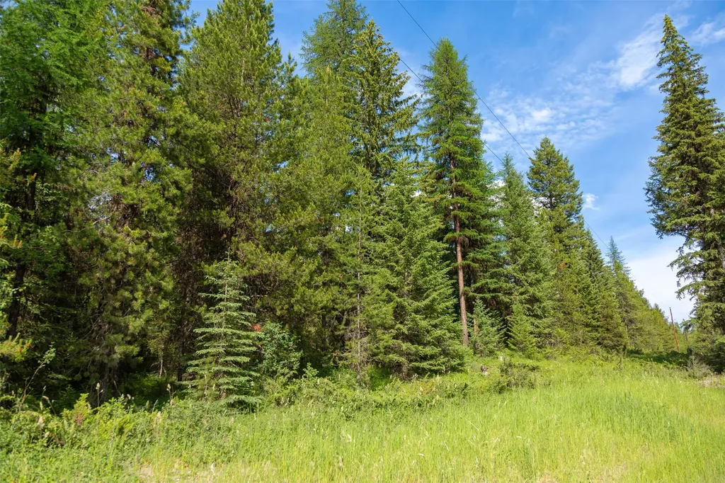 Nhn Lupfer Road Whitefish MT 59937