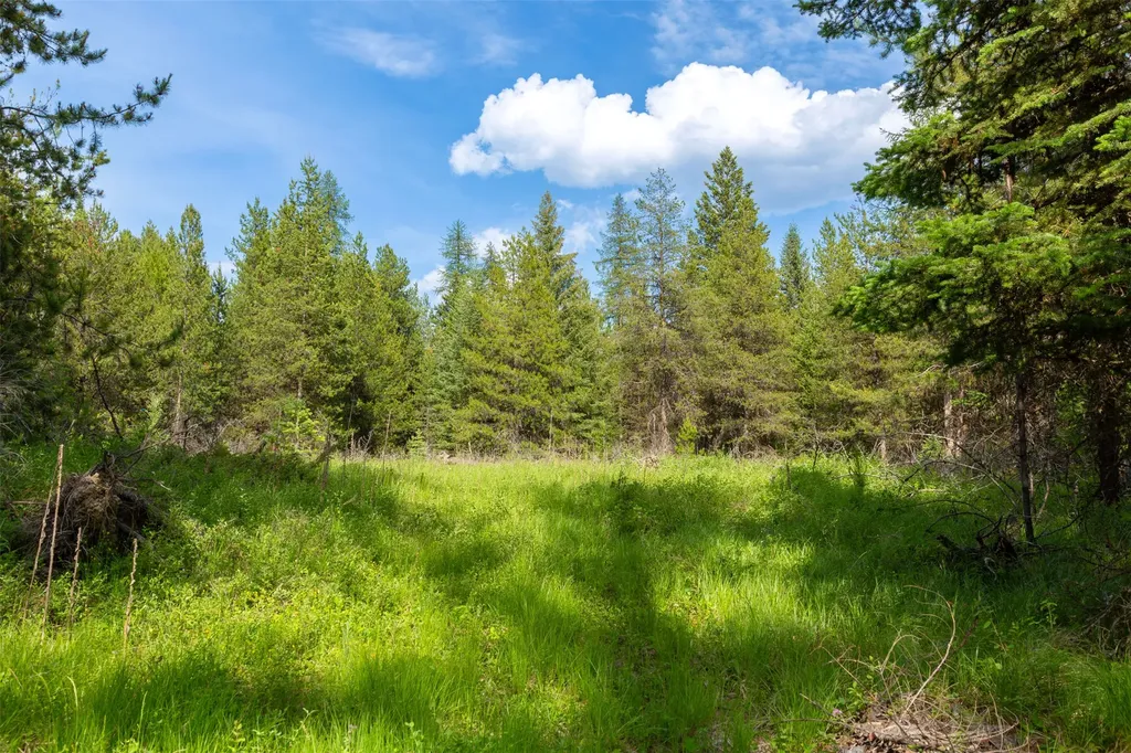 Nhn Lupfer Road Whitefish MT 59937