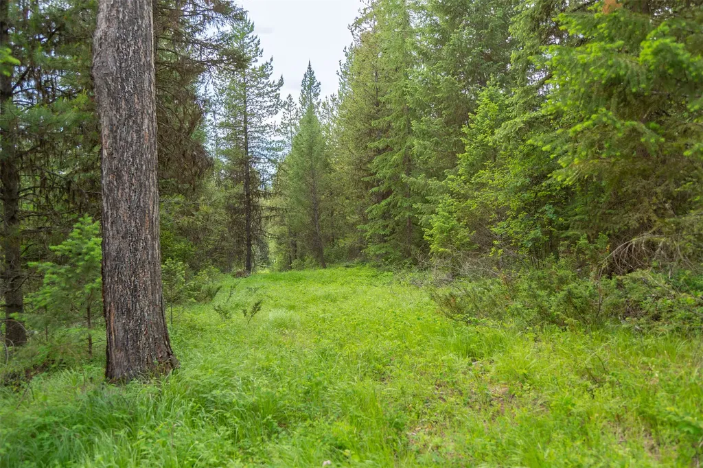 Nhn Lupfer Road Whitefish MT 59937