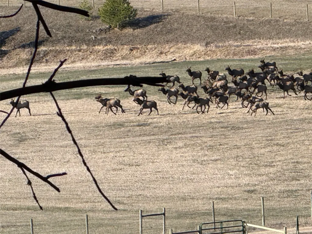 31850 Yearling Run Alberton MT 59820