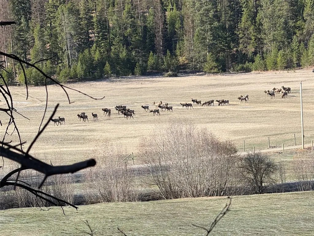 31850 Yearling Run Alberton MT 59820
