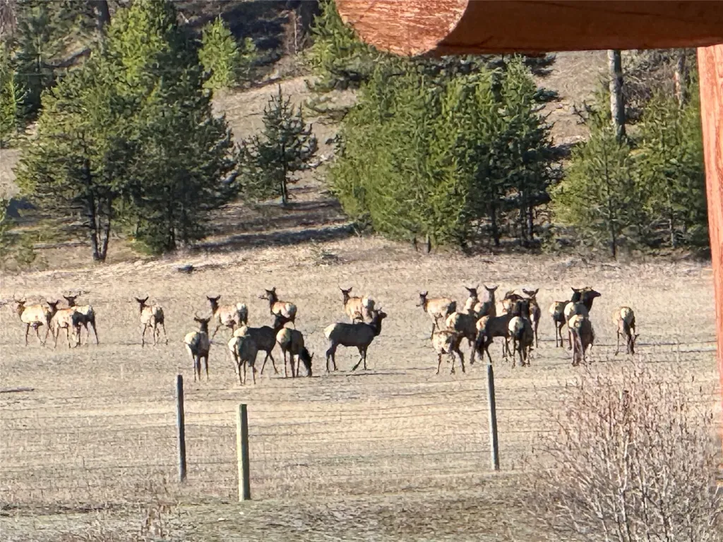 31850 Yearling Run Alberton MT 59820