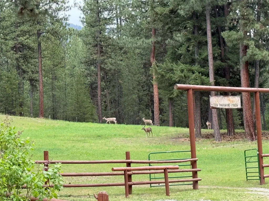 31850 Yearling Run Alberton MT 59820