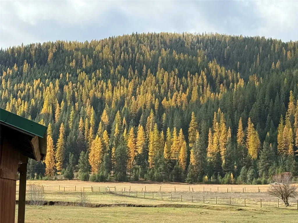 31850 Yearling Run Alberton MT 59820