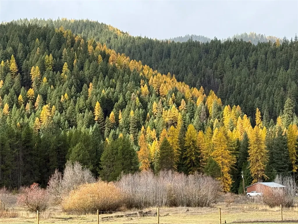 31850 Yearling Run Alberton MT 59820