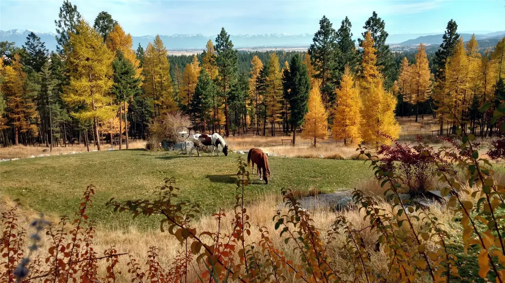 350 Browns Road Kalispell MT 59901