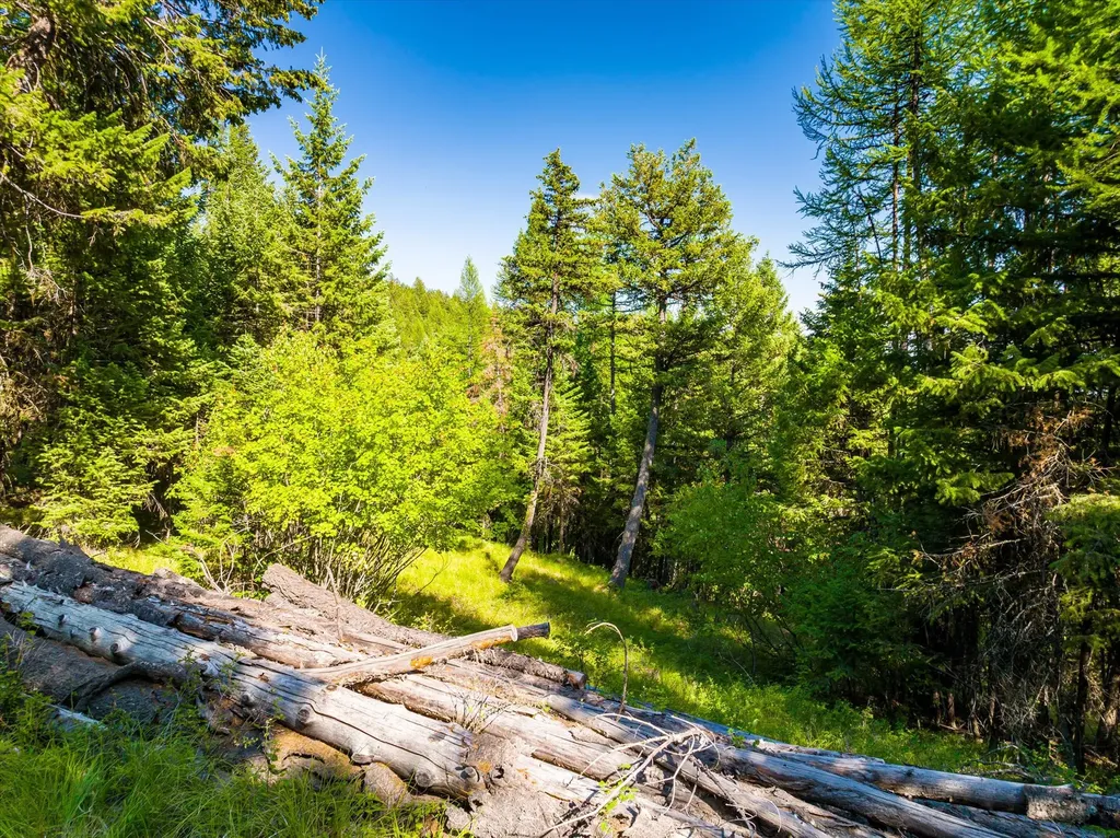 2255 Ashley Lake Road Kalispell MT 59901