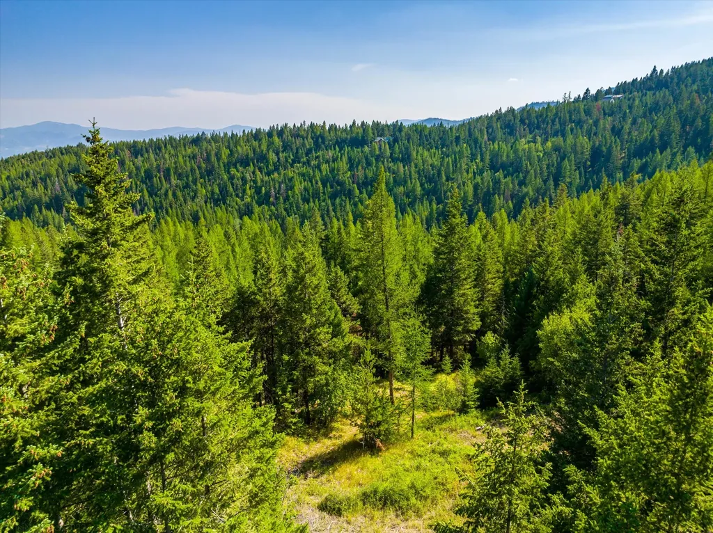 2255 Ashley Lake Road Kalispell MT 59901
