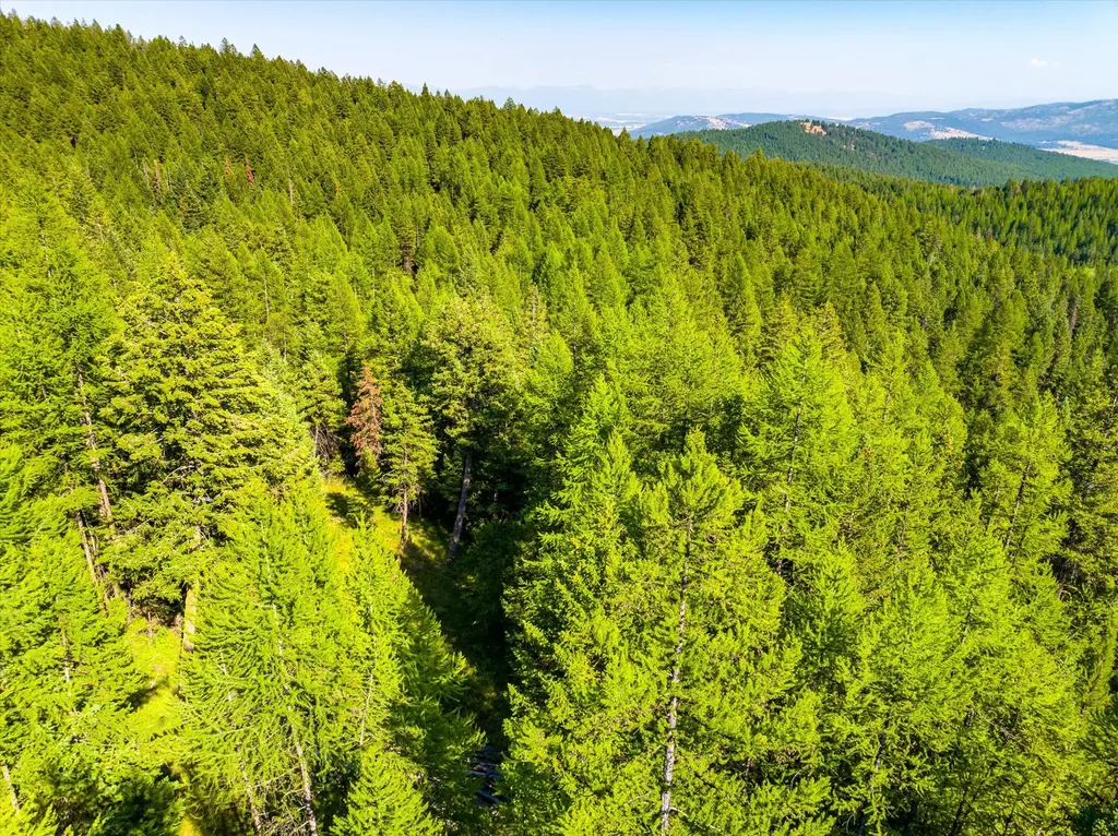2255 Ashley Lake Road Kalispell MT 59901